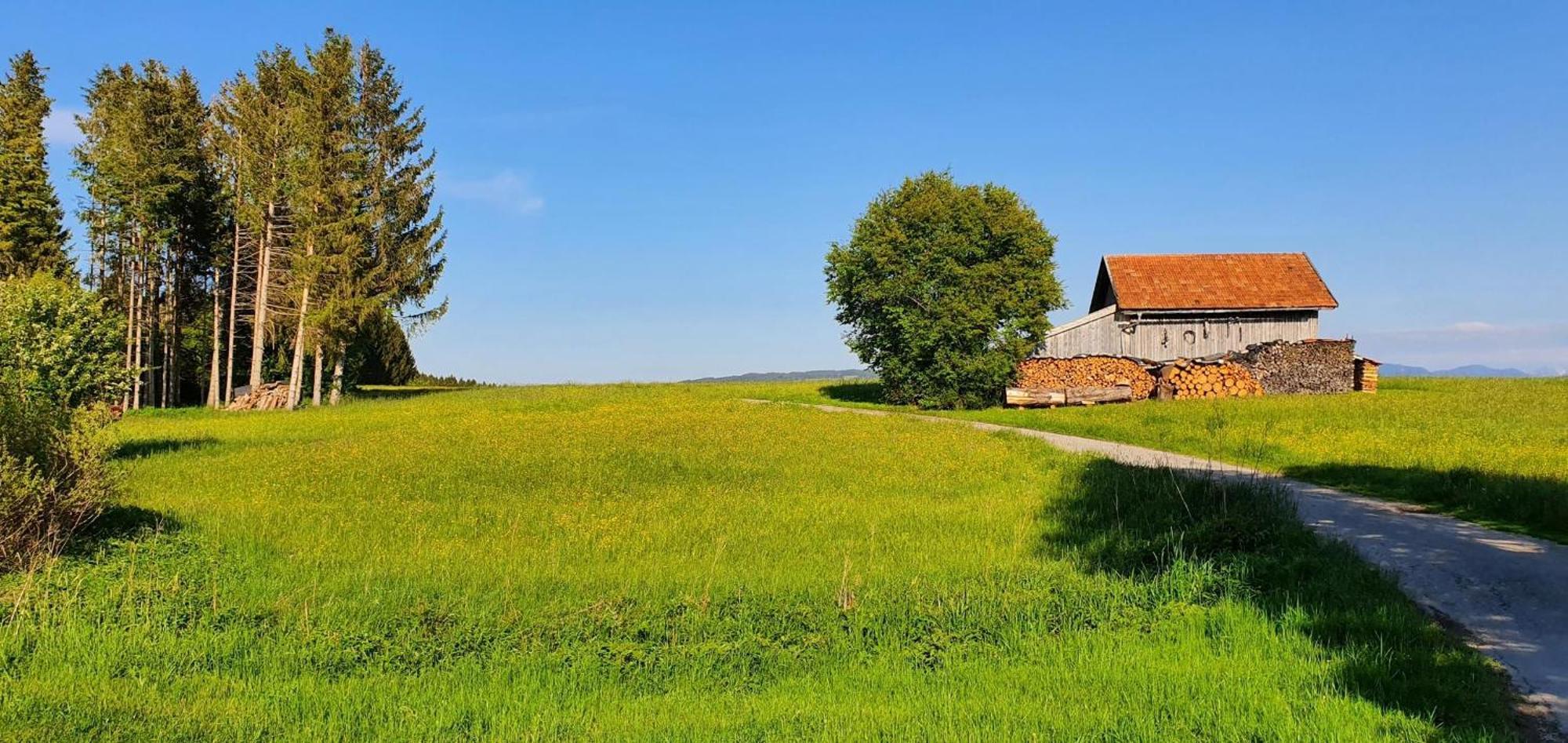Lechbruck Am See Feriendorf Hochbergle Haus 140 Экстерьер фото