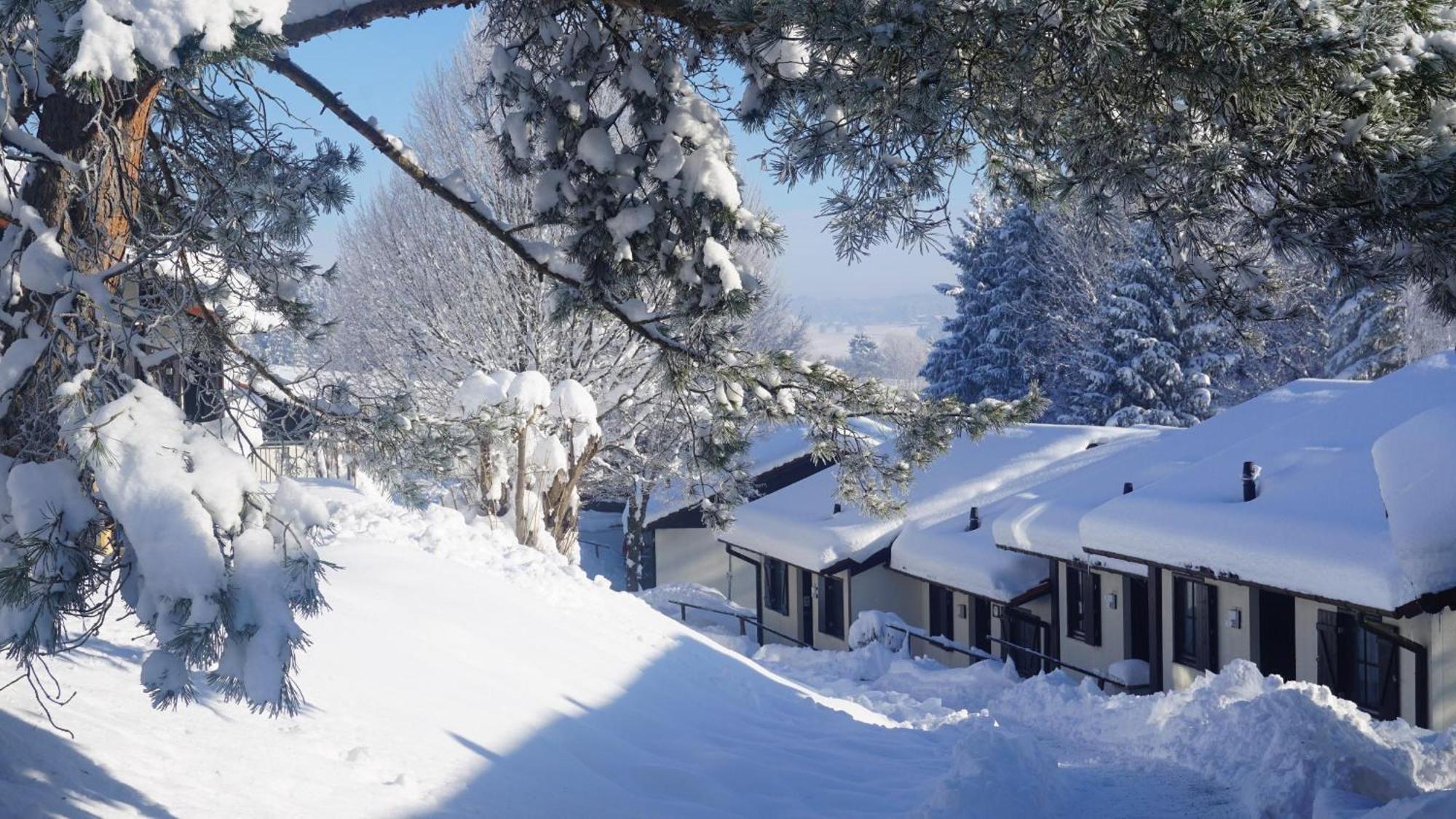 Lechbruck Am See Feriendorf Hochbergle Haus 140 Экстерьер фото